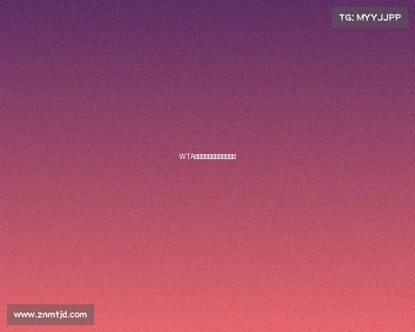 WTA全年赛事奖金全景深度解析